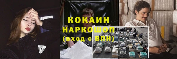 ешки Алексин