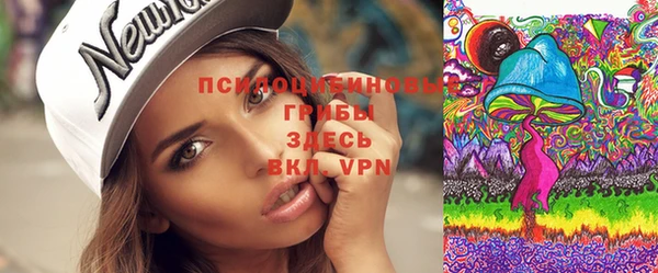 PSILOCYBIN Протвино